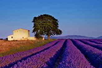 Découvrir la France : Provence